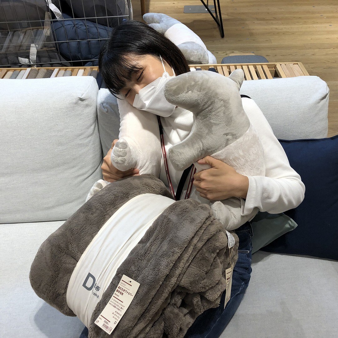 毛布とクッション