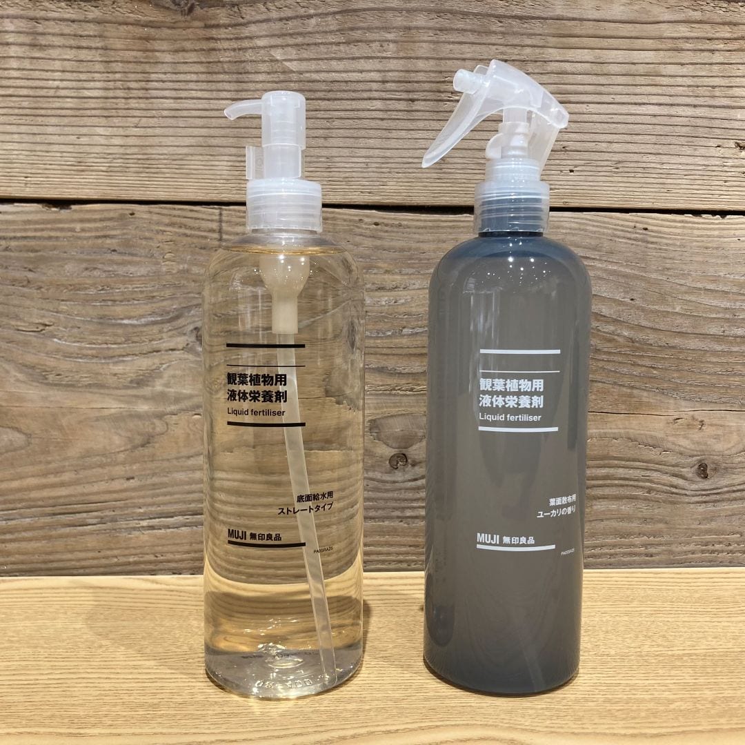 【魚津】新生活にグリーンで癒しの時間を