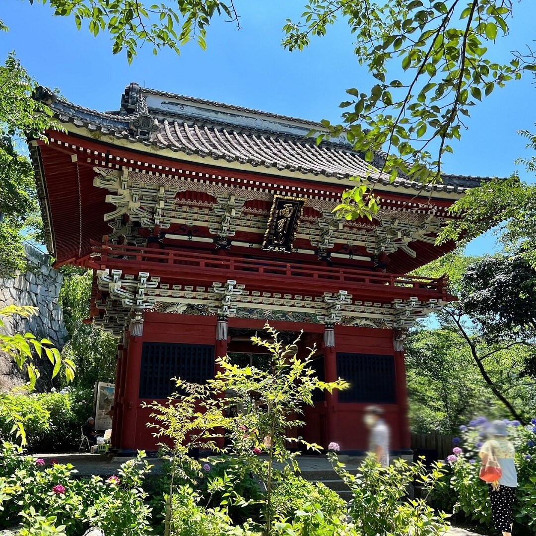 画像②