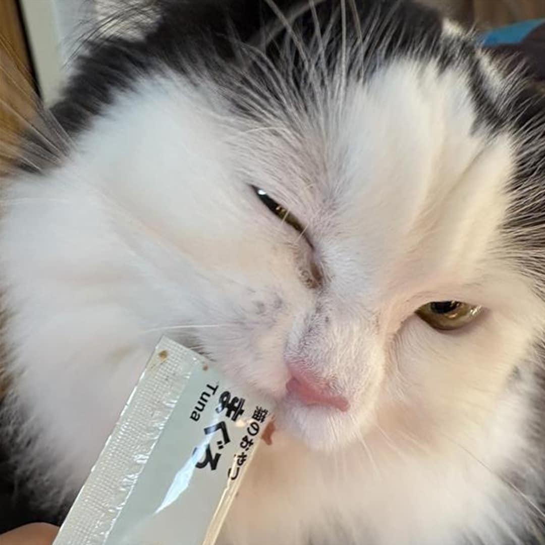 046710＿260321＿01＿02