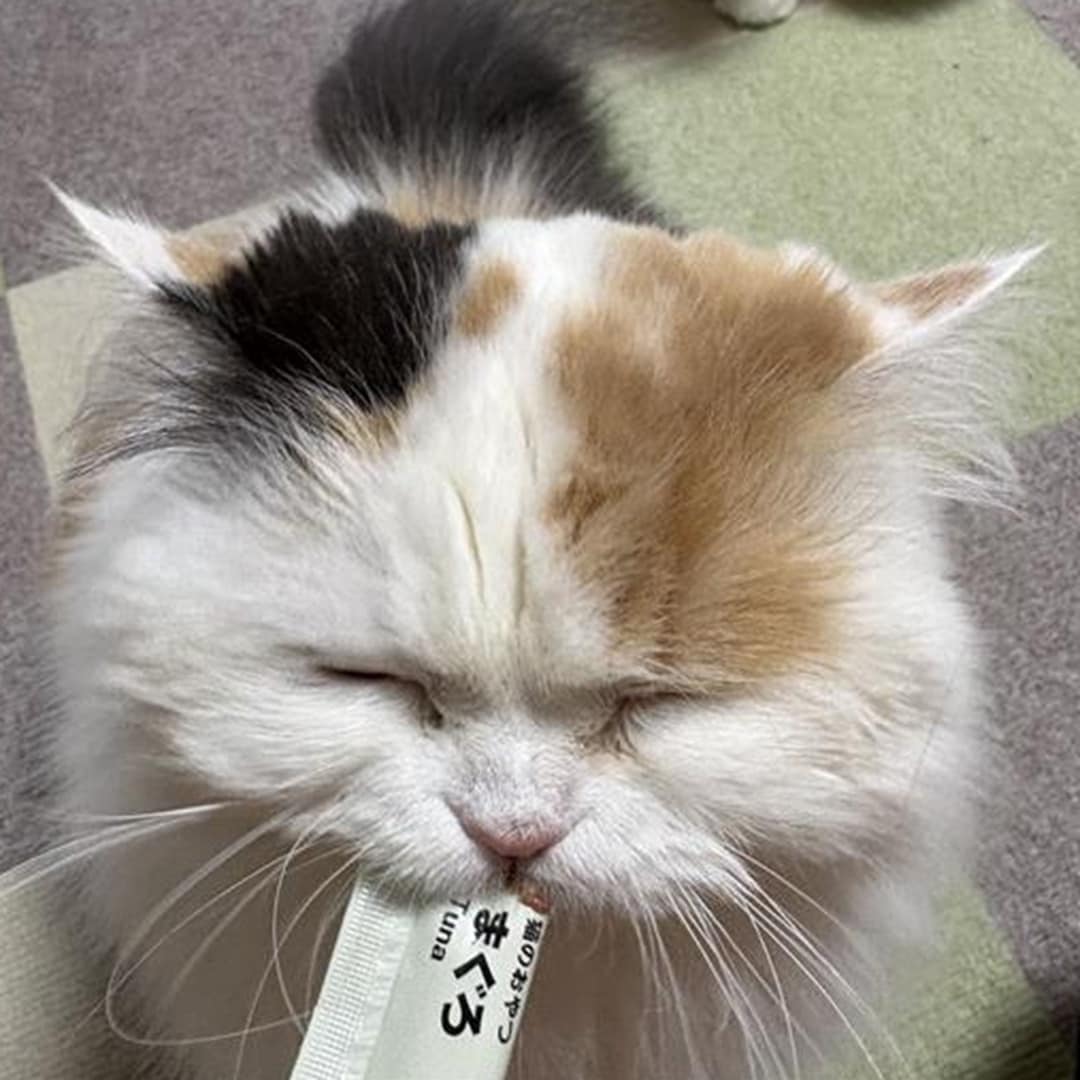 046710＿260321＿01＿03