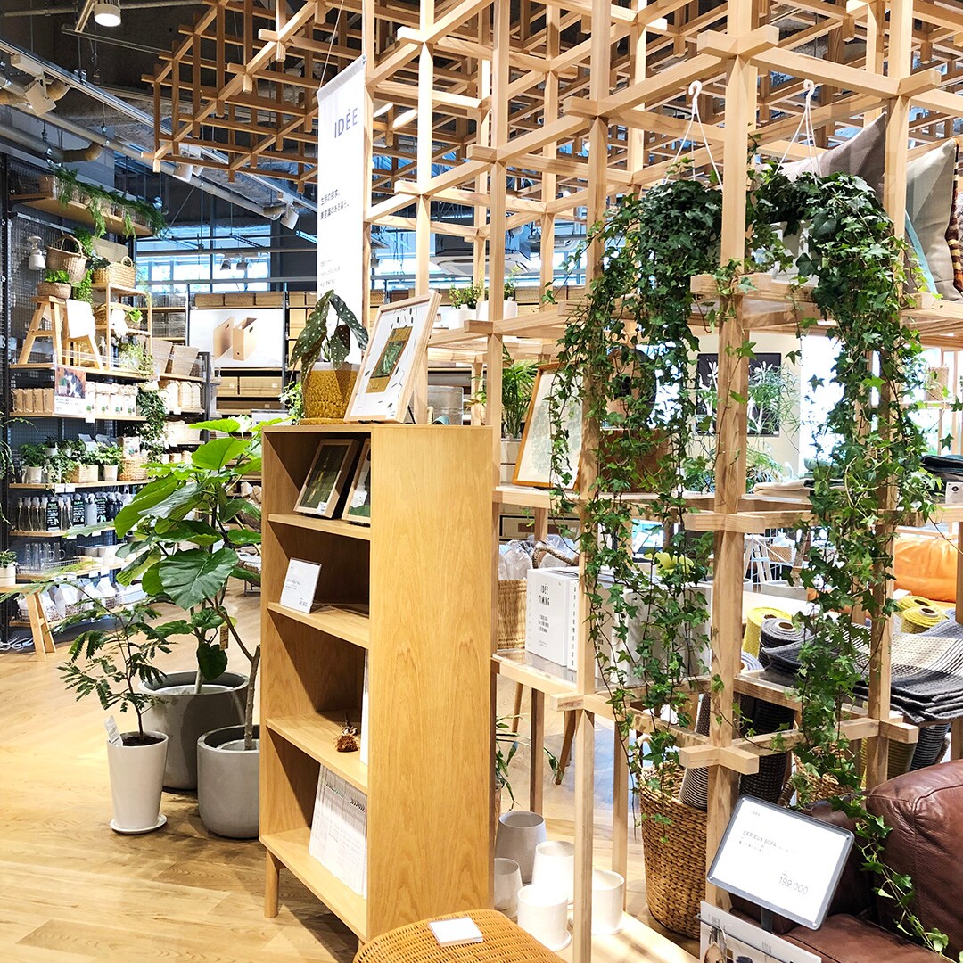 【マルエイガレリア】グリーンが入荷しました。