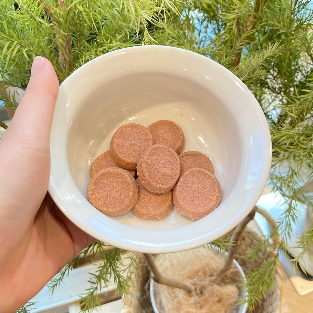 【マルエイガレリア】サクサクした桜はいかがですか？