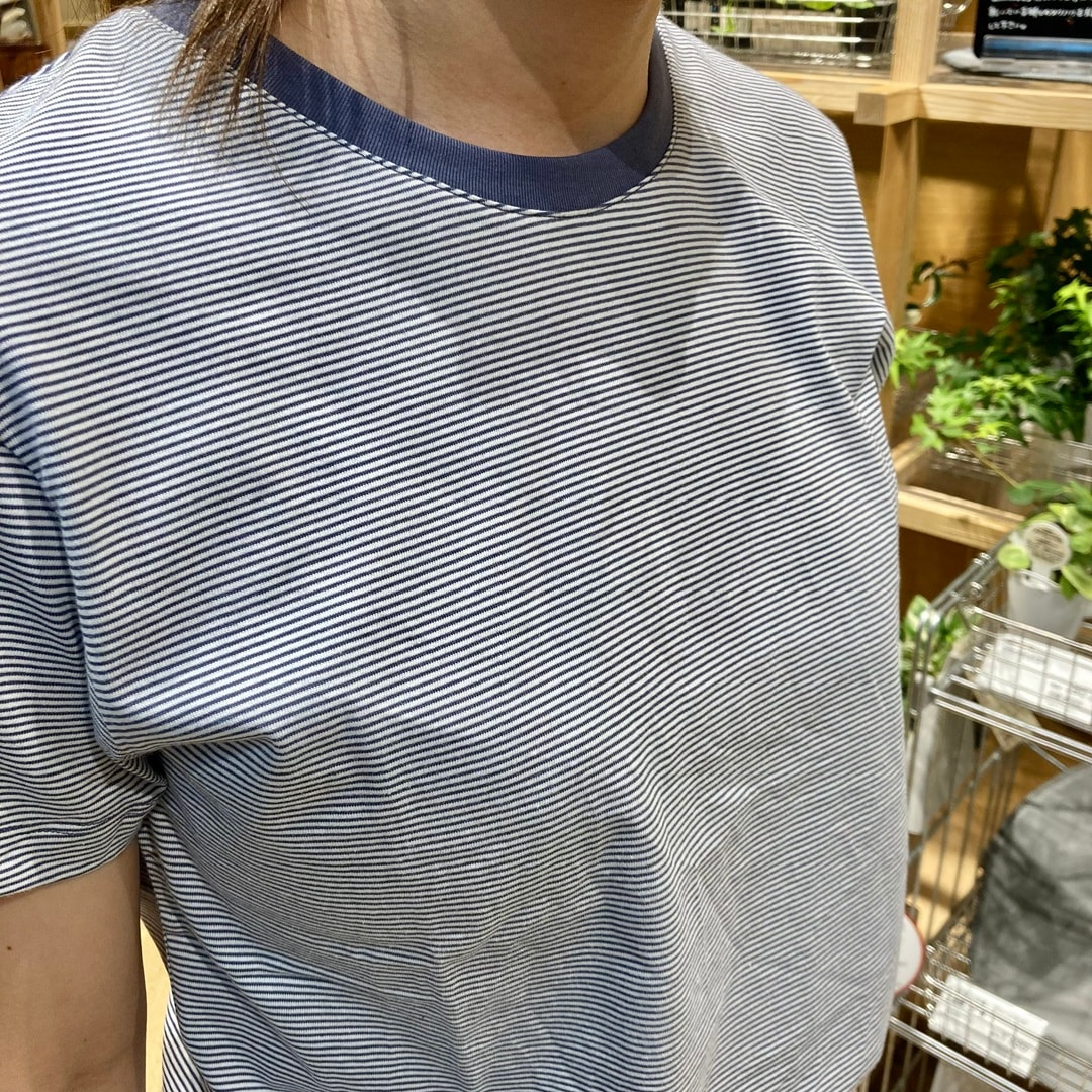 【マルエイガレリア】身長160㎝