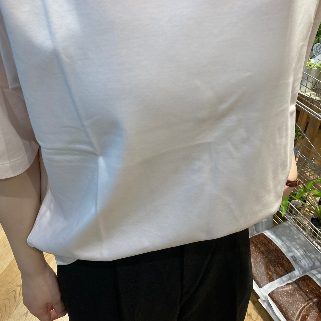 【マルエイガレリア】身長158㎝