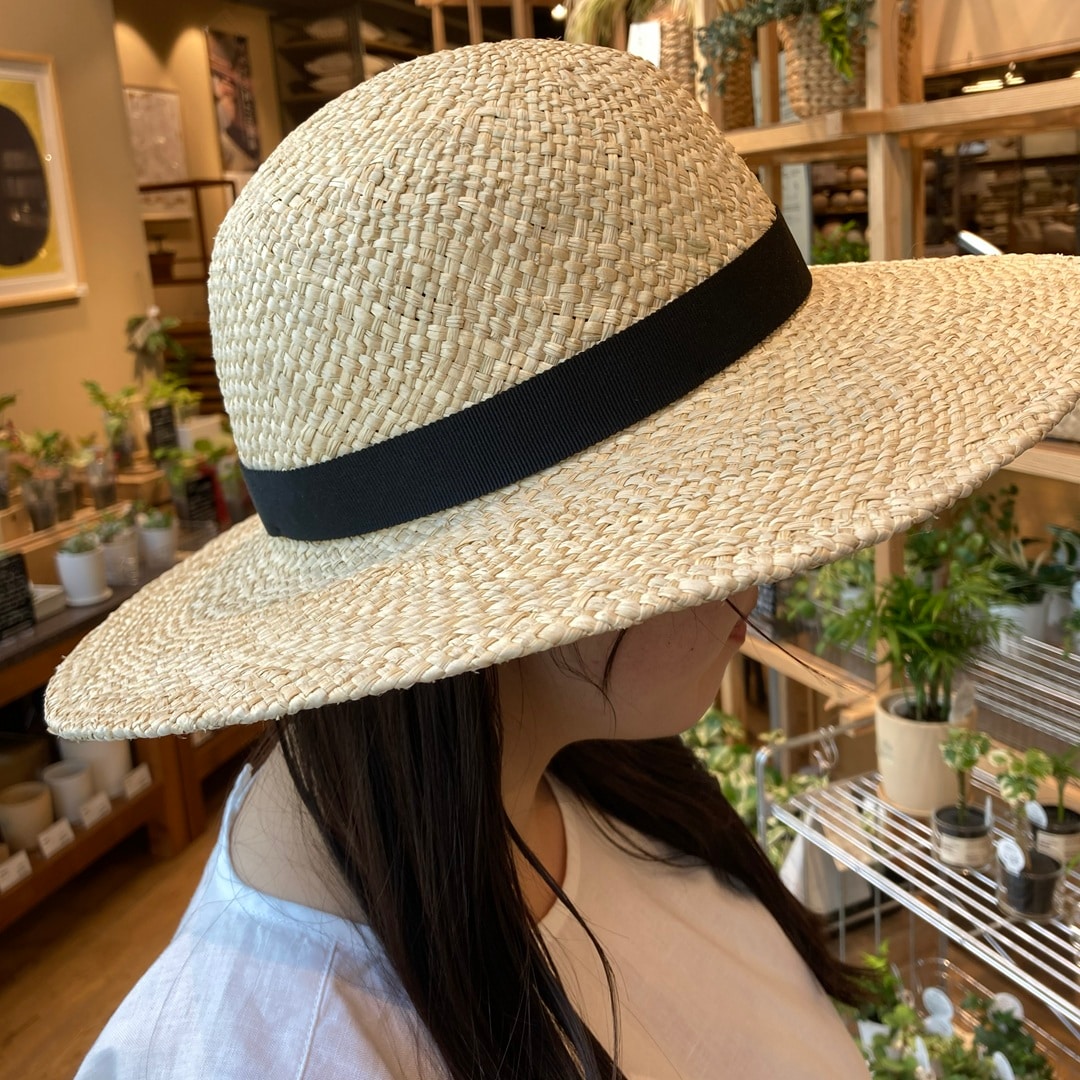 【マルエイガレリア】身長159㎝