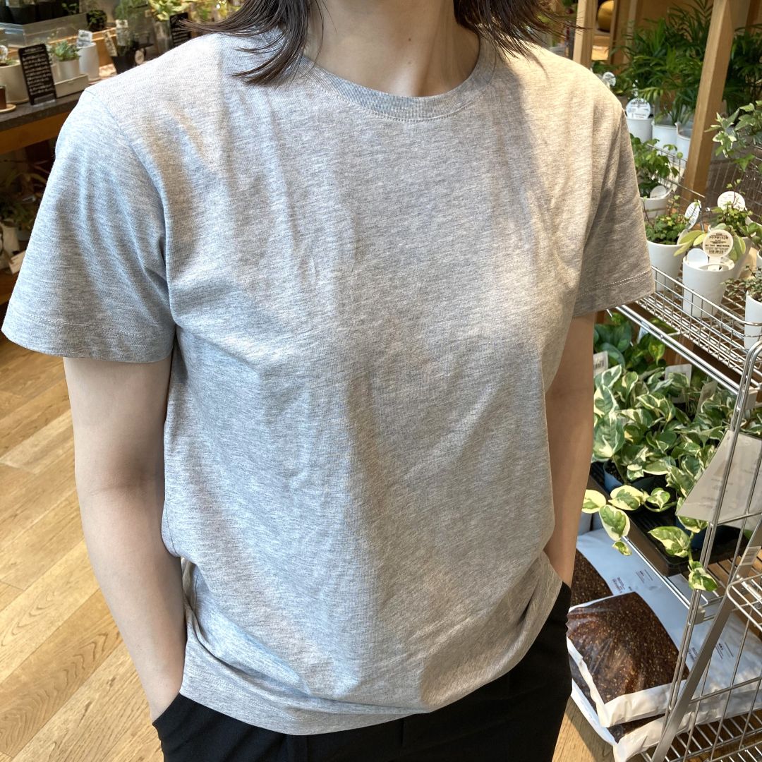 【マルエイガレリア】天竺編みクルーネック半袖Ｔシャツのご紹介