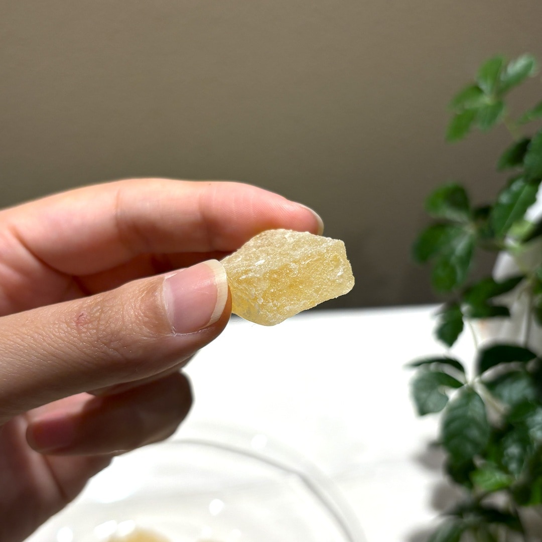 【マルエイガレリア】もちもち食感がくせになる、フルーツ寒天もち｜スタッフのおすすめ_UUc81y