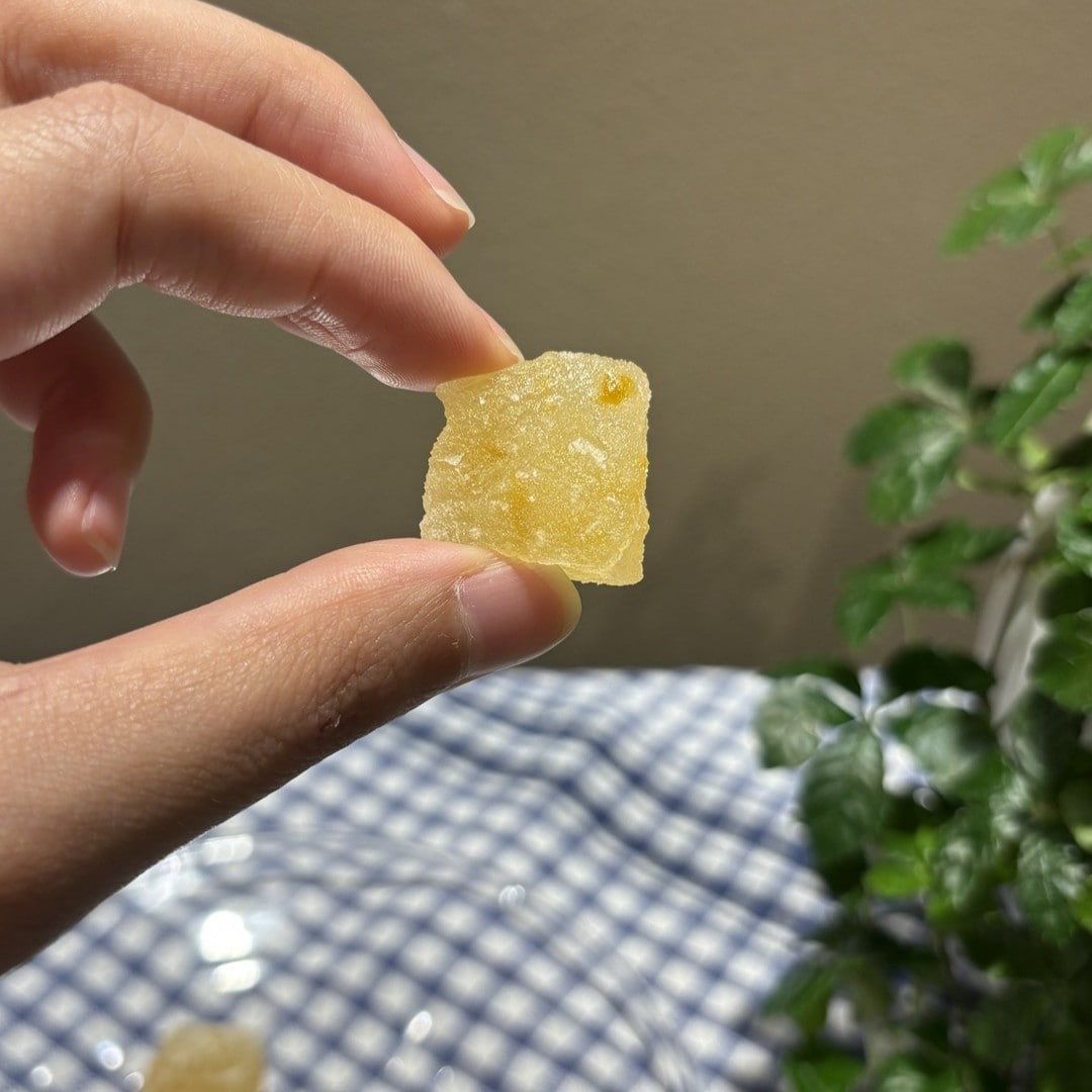 【マルエイガレリア】もちもち食感がくせになる、フルーツ寒天もち｜スタッフのおすすめ_D4ZXkX
