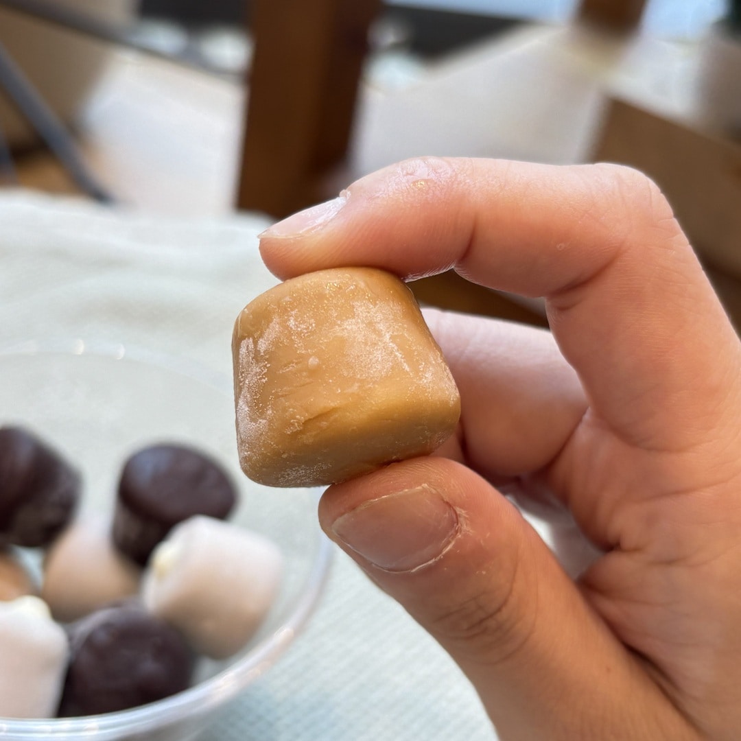 【マルエイガレリア】つい手が伸びる、一口チョコアイス｜スタッフのおすすめ_a7fTZJ