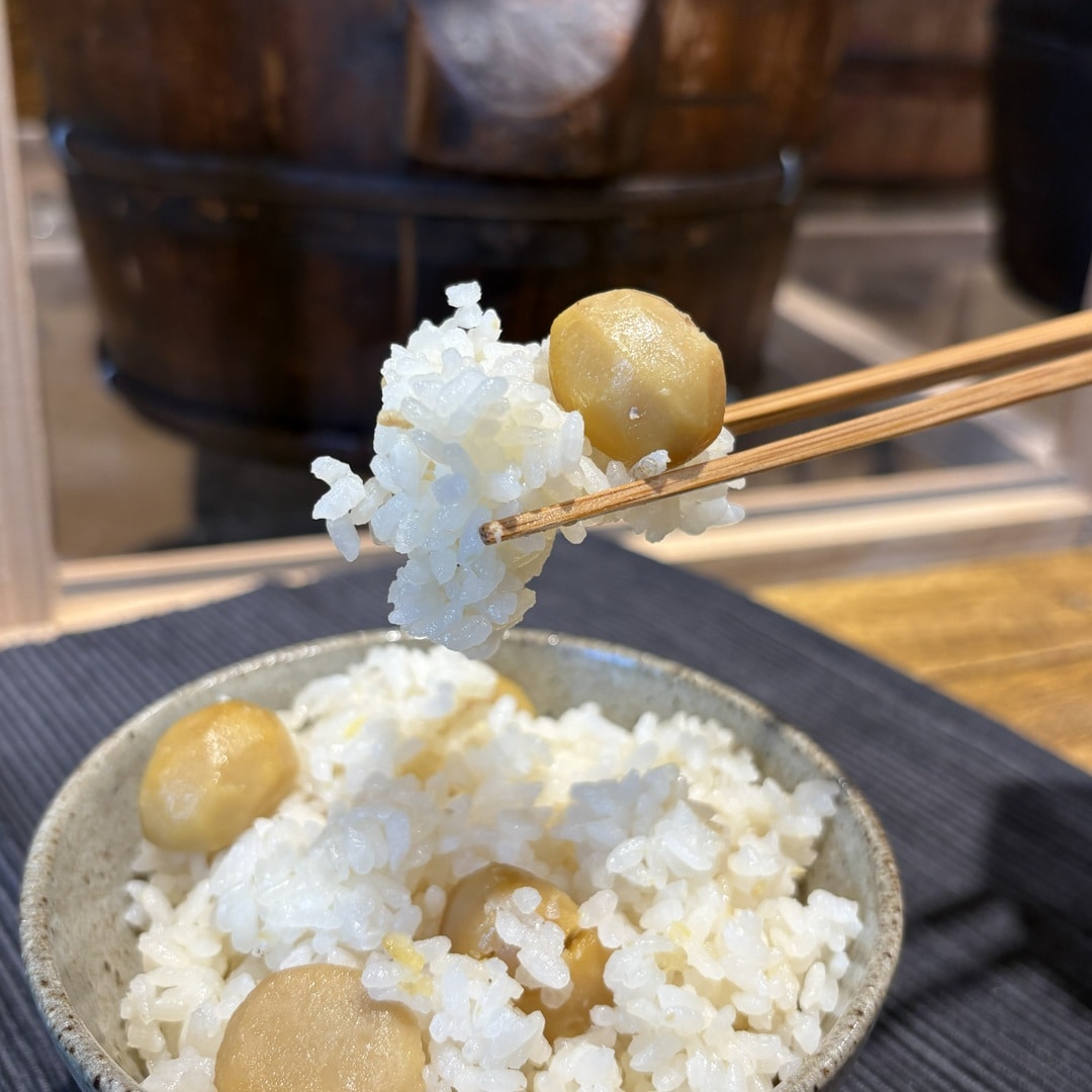 【マルエイガレリア】ほっこり美味しい、炊き込みご飯｜新商品_Dva681