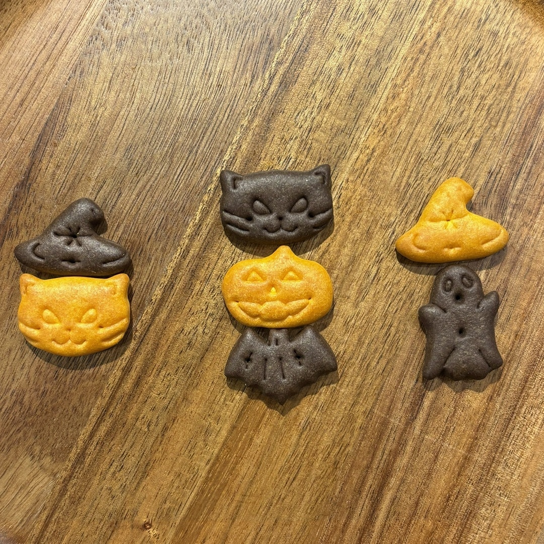 【マルエイガレリア】ハロウィンにぴったり、個包装お菓子｜スタッフのおすすめ_GD03kU