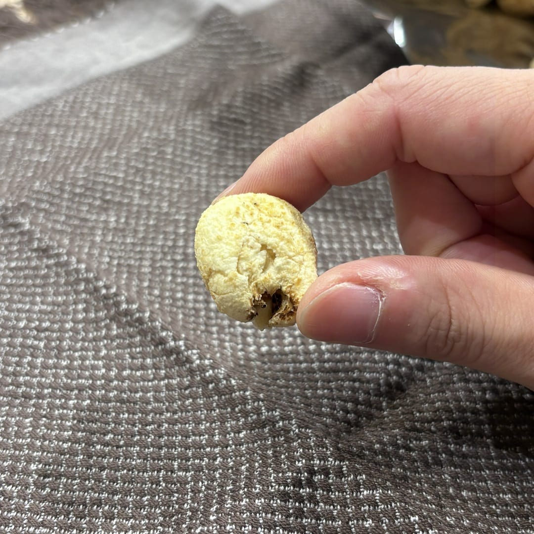 【マルエイガレリア】たっぷり入って大満足、大袋お菓子｜スタッフのおすすめ_Bm2rHm