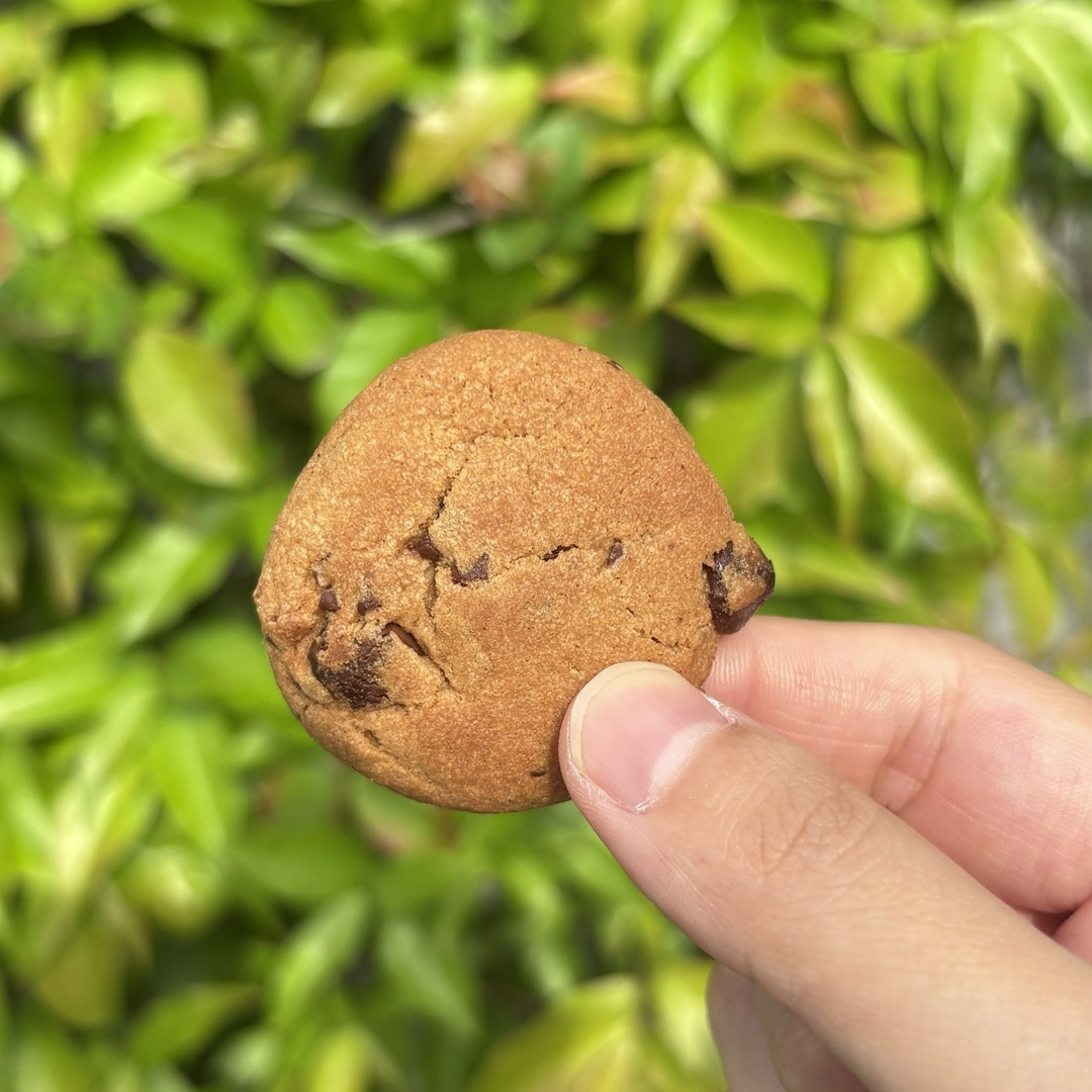 【マルエイガレリア】個包装が嬉しい、チョコのお菓子｜スタッフのおすすめ_450VSy