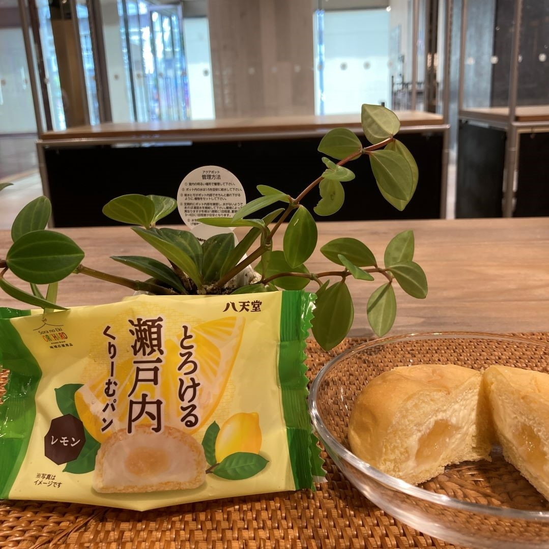 とろける瀬戸内くりーむパン