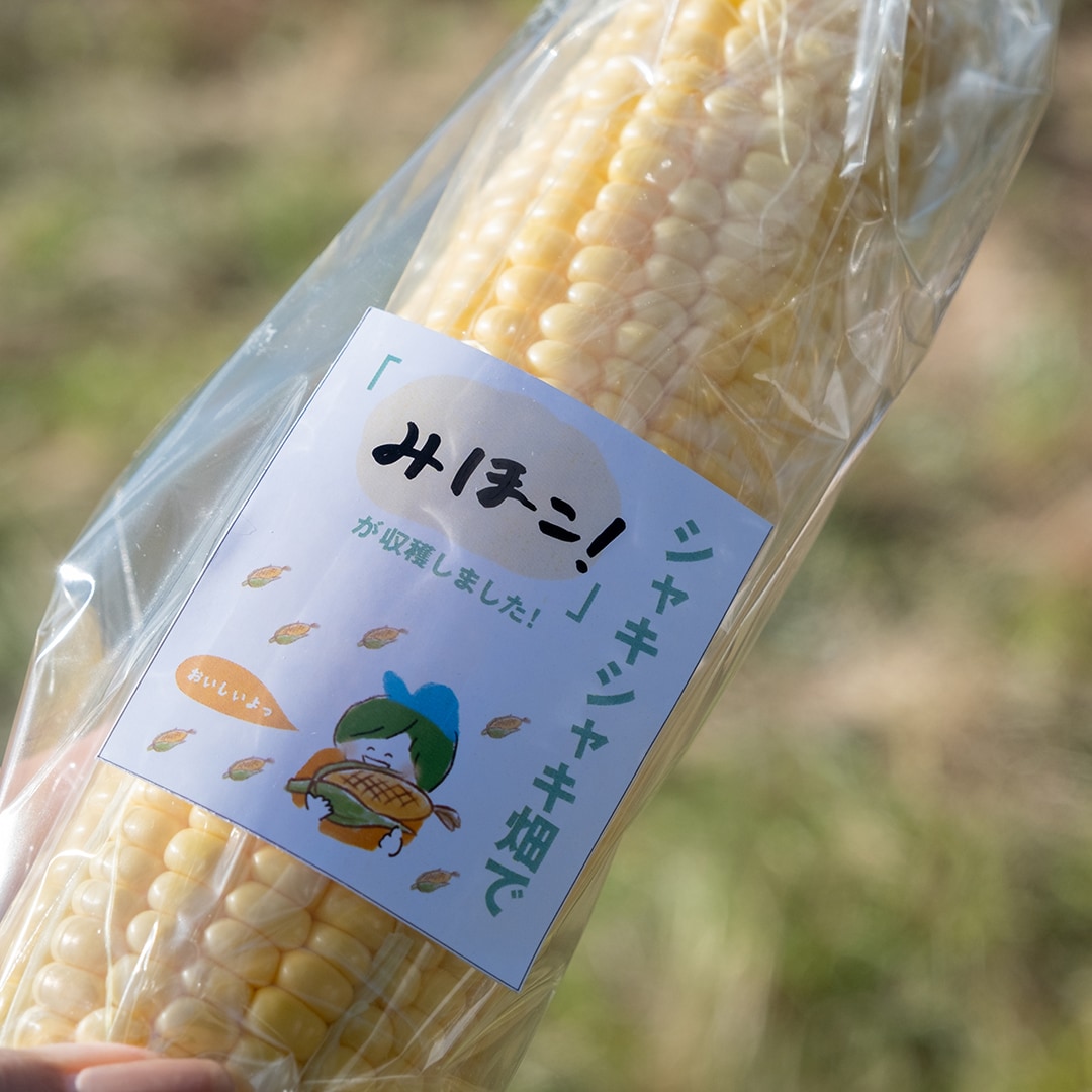 ラベルを作ってはりました