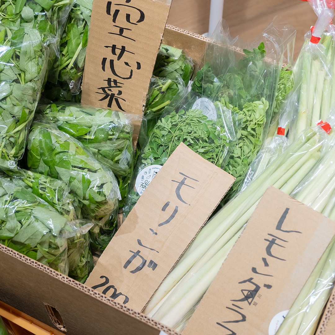 摘果したネーブルや青いレモン、かぼすやだいだいなど、これから旬を迎える柑橘類も。レモングラスやモリンガ、タイなすなど、ちょっと珍しいお野菜もありましたよ。