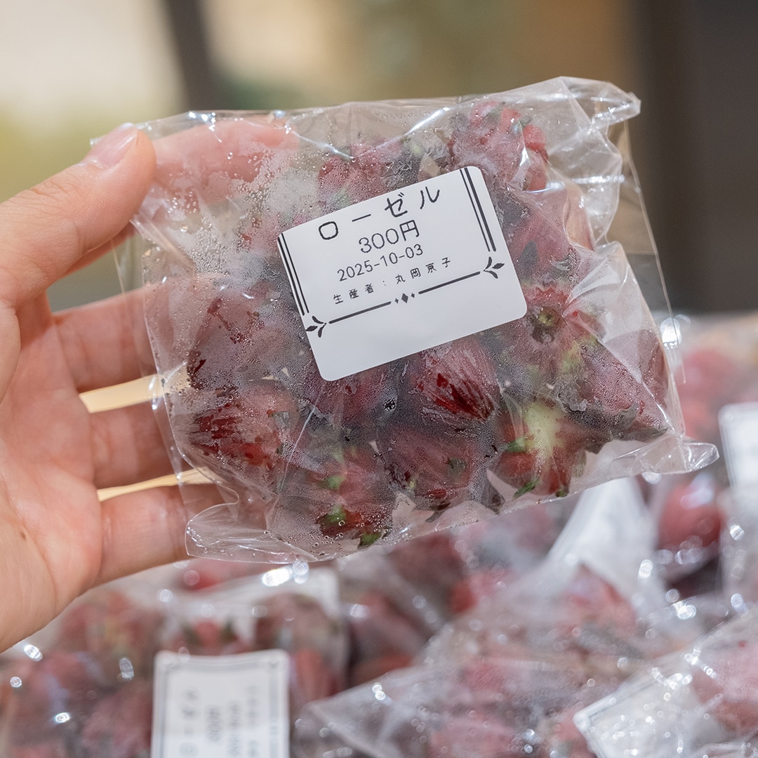 摘果したネーブルや青いレモン、かぼすやだいだいなど、これから旬を迎える柑橘類も。レモングラスやモリンガ、タイなすなど、ちょっと珍しいお野菜もありましたよ。