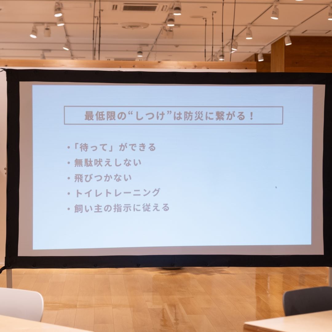 ワクチン接種や基本的なしつけに加え、ケージに入ることに慣らしておくことや、決められた場所で排泄できるようにするなど、日頃からのトレーニングが大切です。