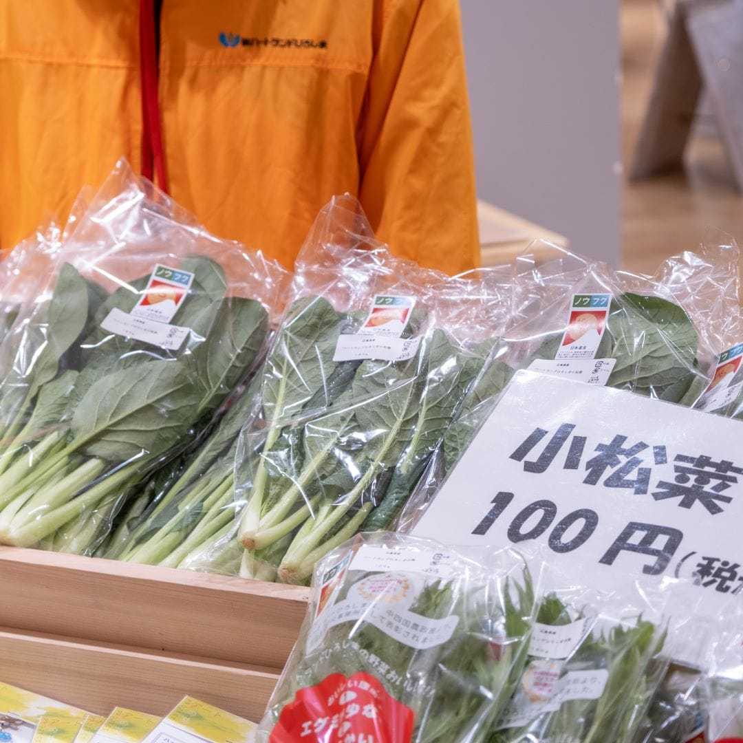 野菜販売会には、北広島町ですくすくと育った小松菜、水菜、白ねぎをお持ちいただきました。