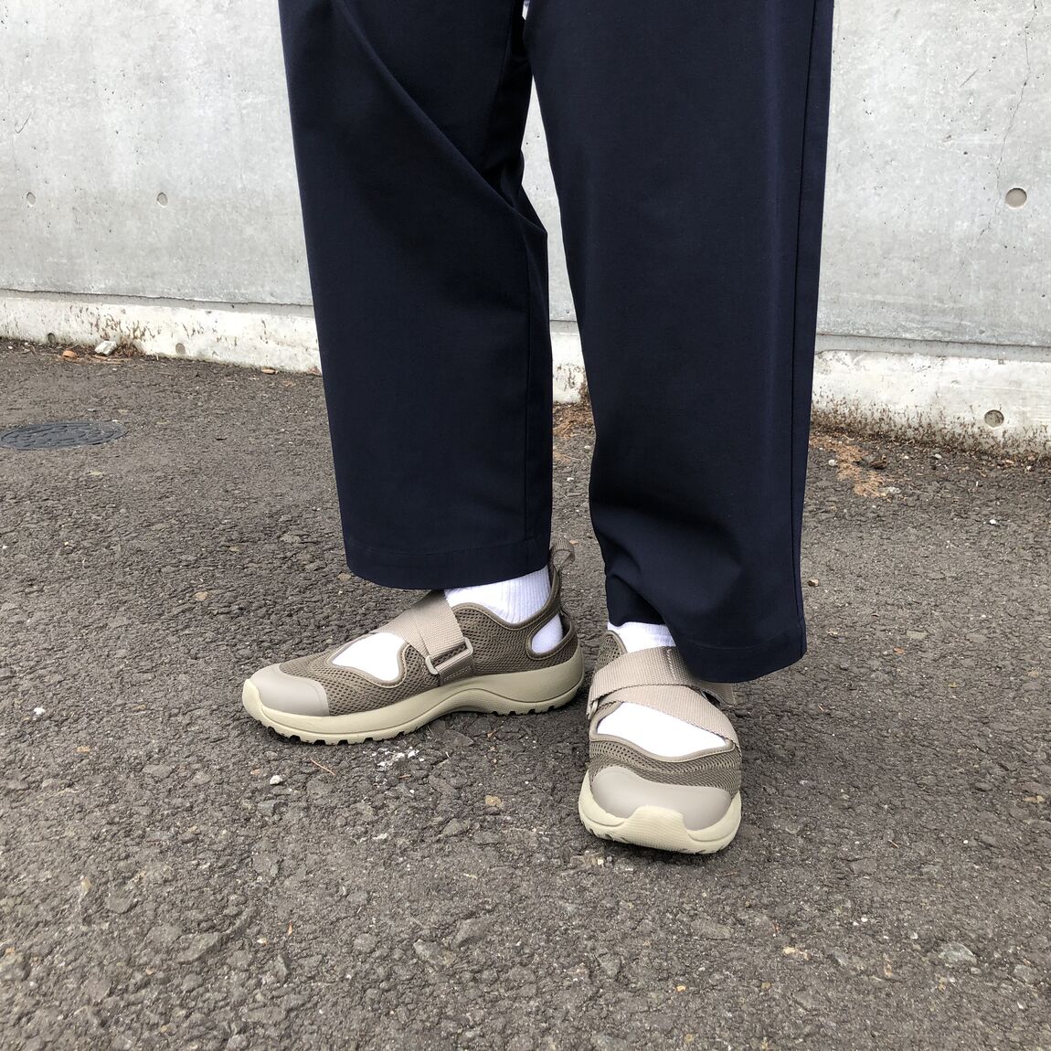 紳士