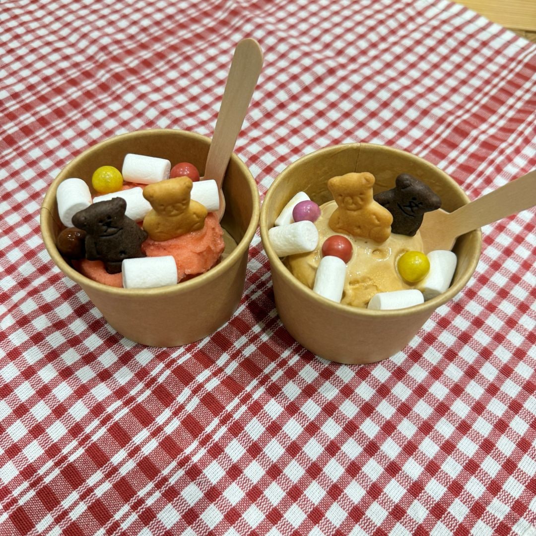アイスの写真