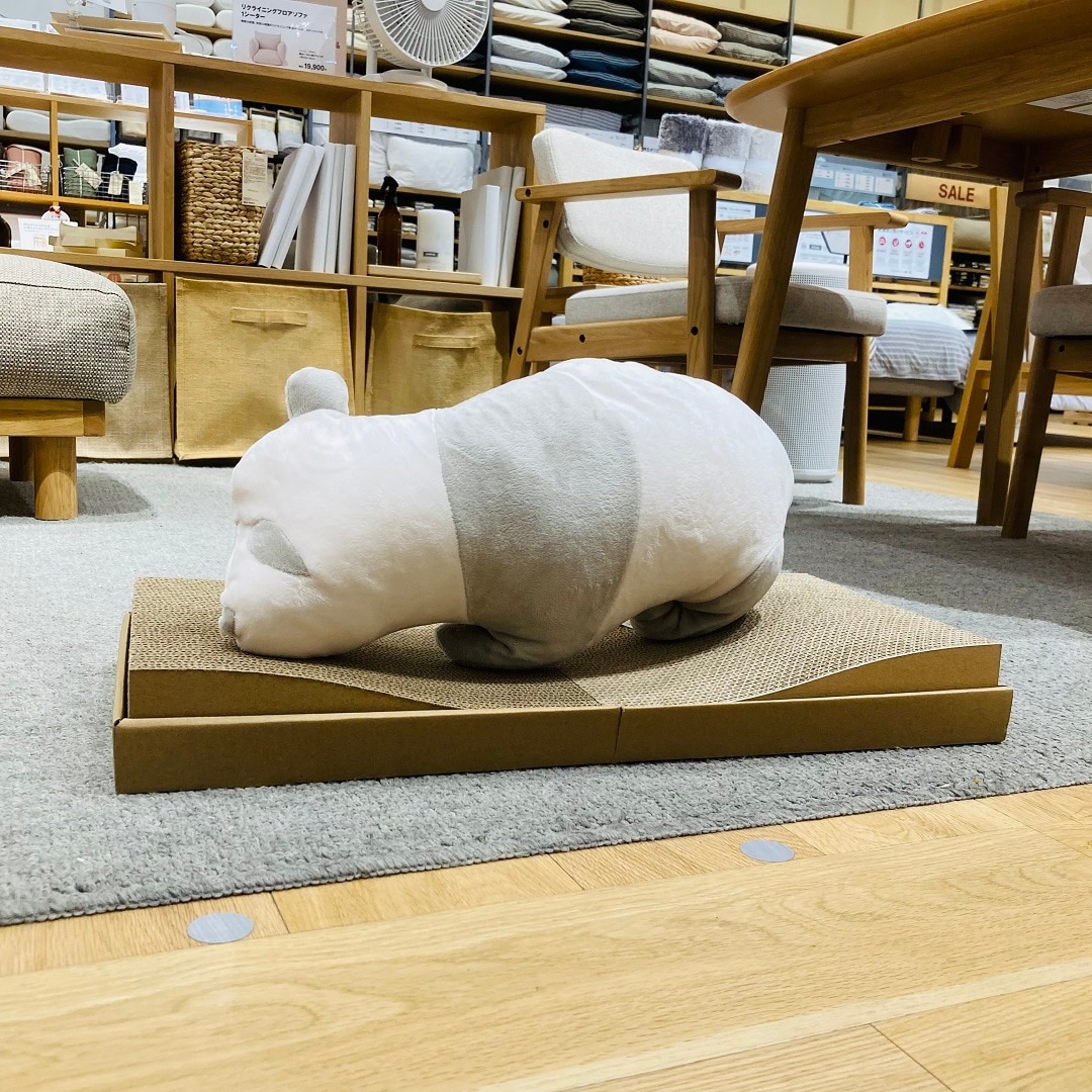 猫の爪とぎ・谷型バージョン