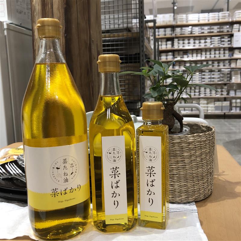 菜ばかり　３サイズ　観葉植物