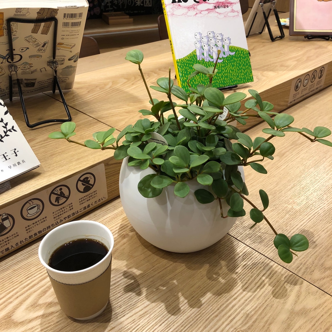 ホットコーヒー