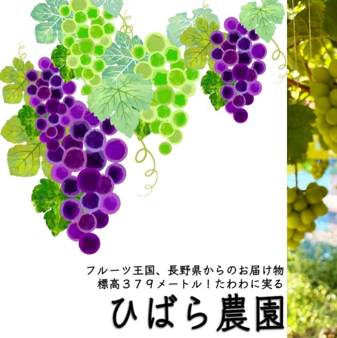 【青木島ショッピングパーク】第３２回つながる市_5NQRpr