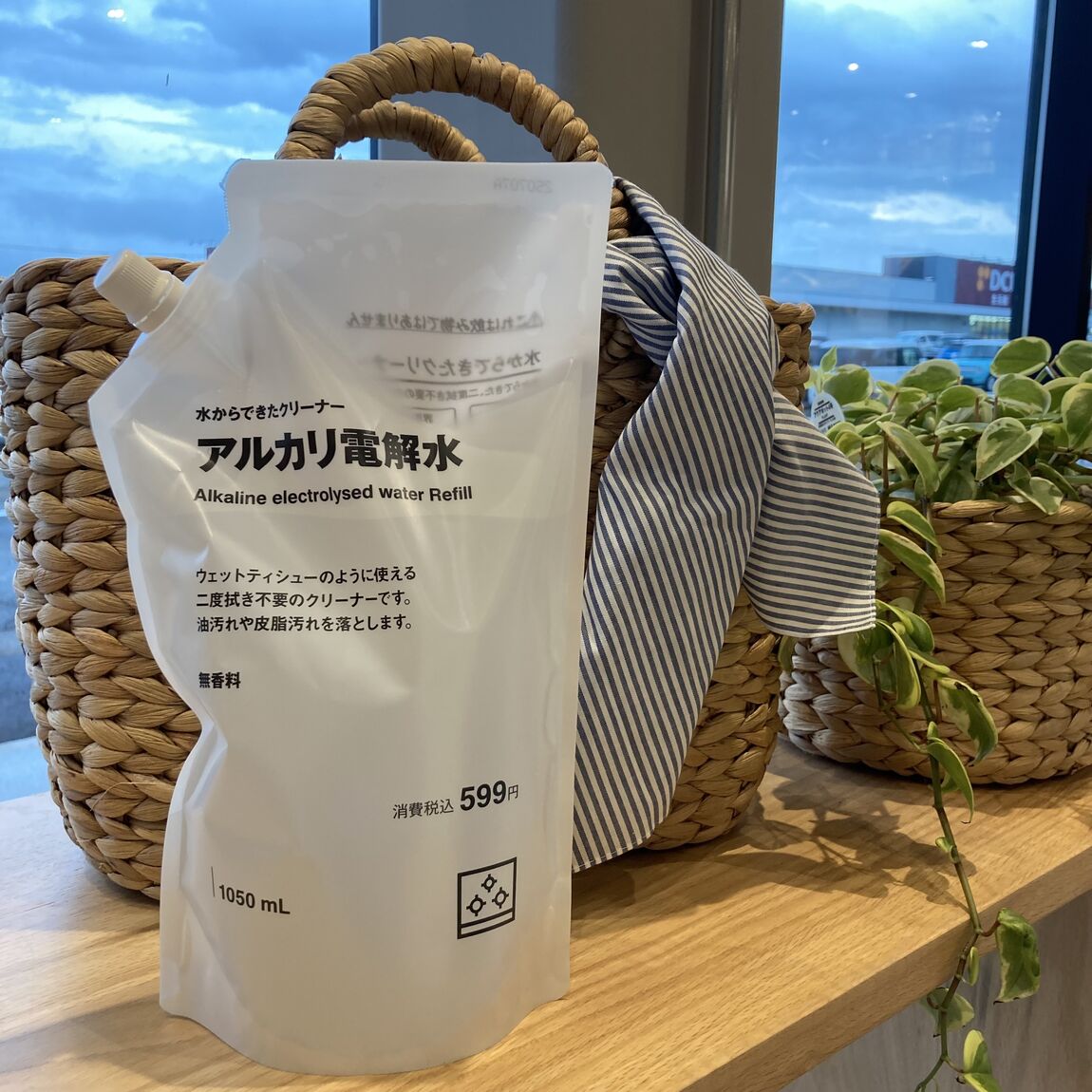 掃除