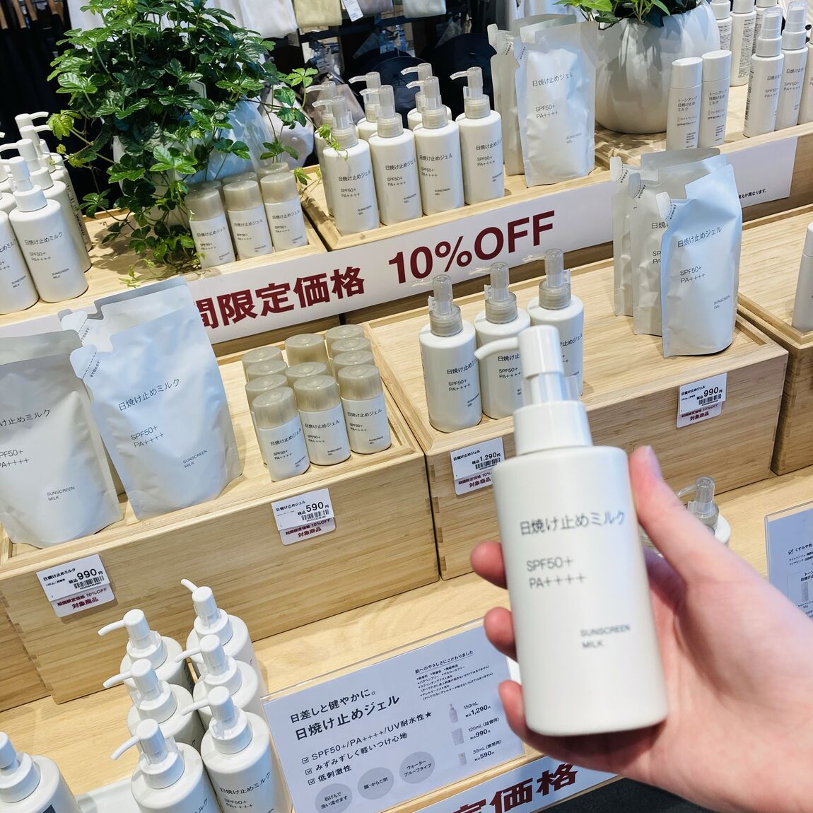 本文三枚目