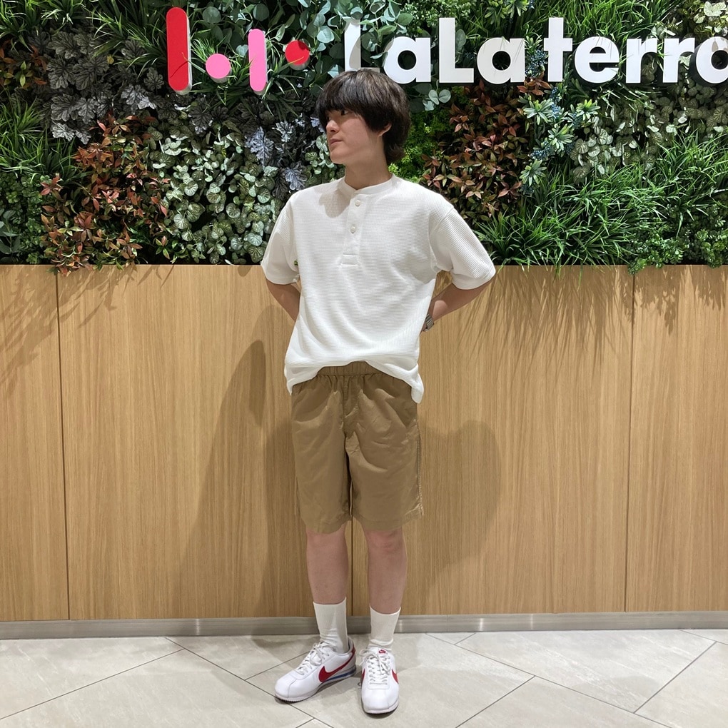 本文
