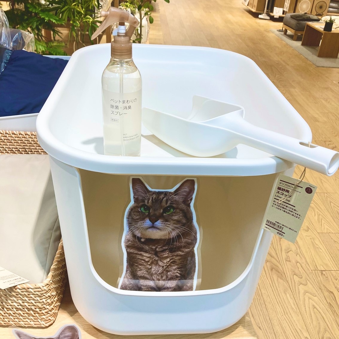 ハウスにもなる猫用トイレの写真です。
