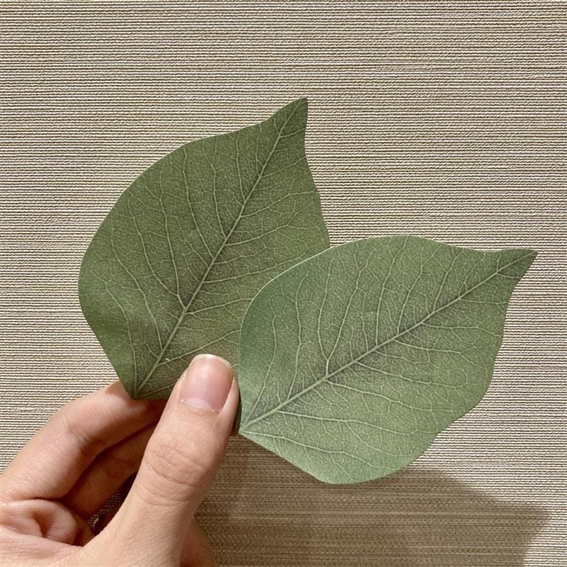 葉っぱのカード