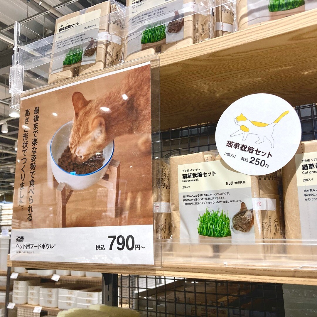 「猫草栽培セット」商品売場写真