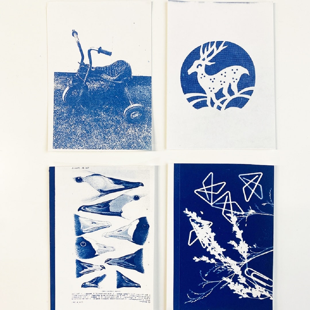 【京都山科】サイアノタイプで絵葉書をつくろう｜イベントのお知らせ