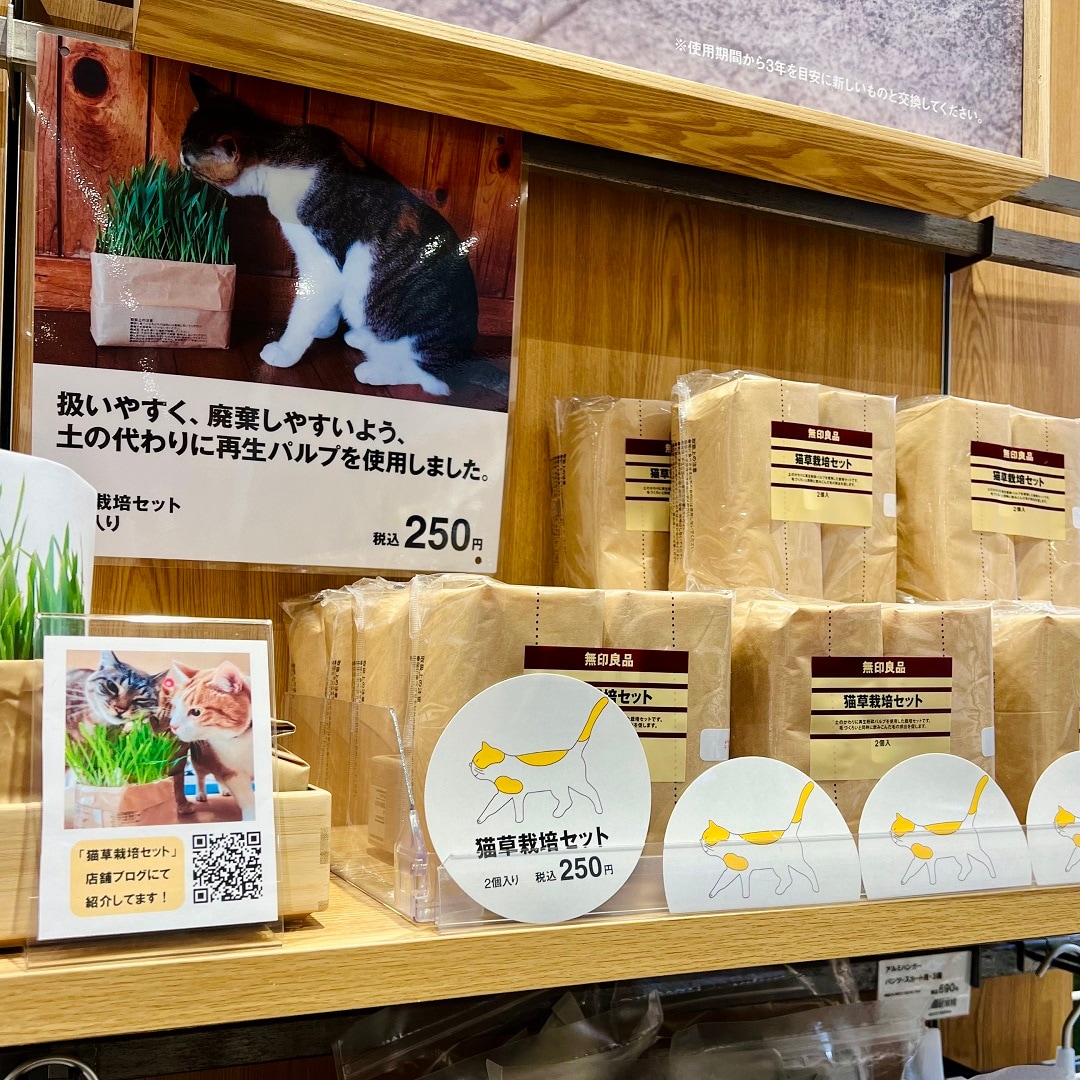 【イオンモール綾川】2月のおたより ～猫草栽培キット編～