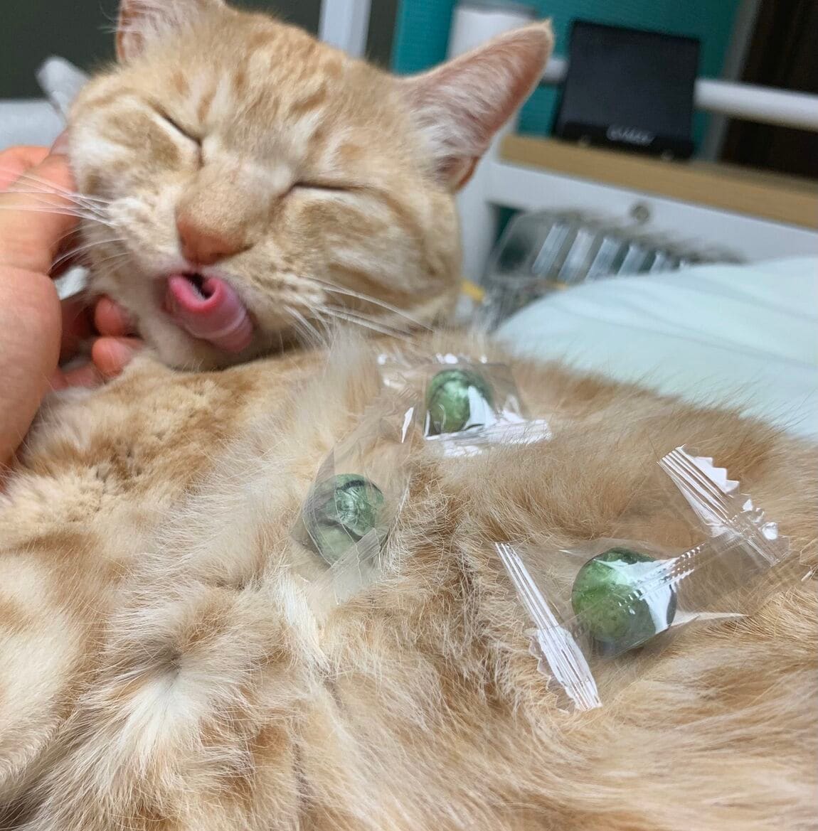 美味しい
