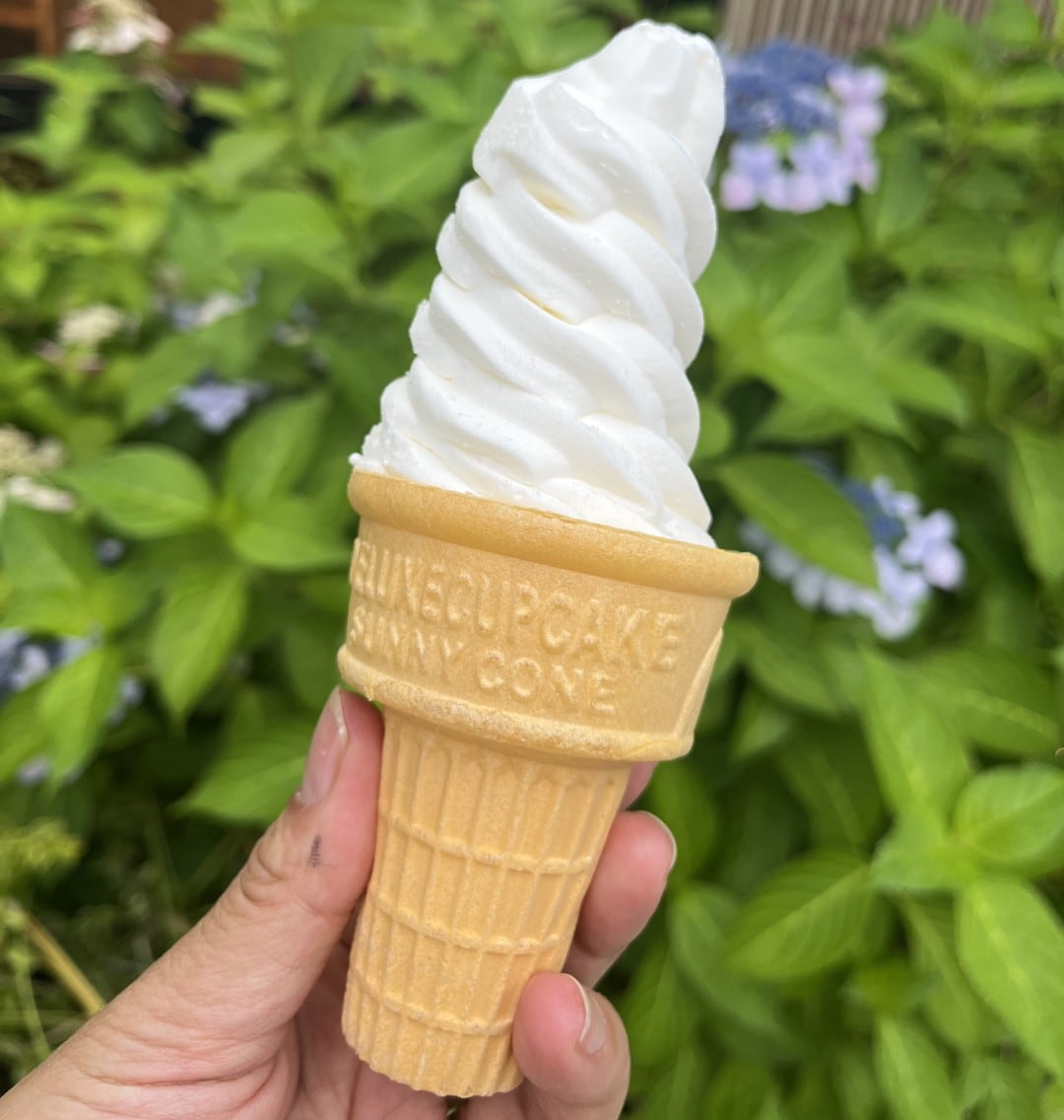 ソフトアイス
