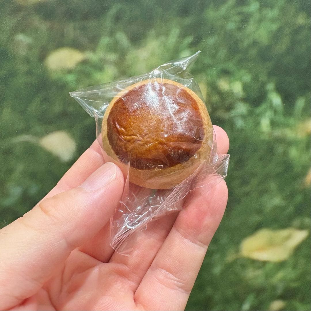 【イオンモール高知】_R45G4d