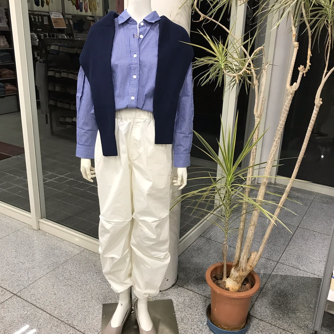 綺麗