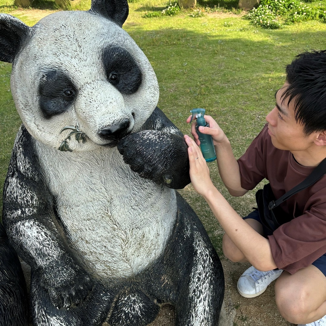 ミスト