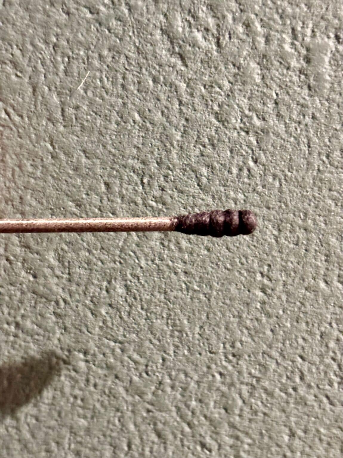 【アピタタウン金沢ベイ】ベイスタッフのリアルな愛用品紹介します！