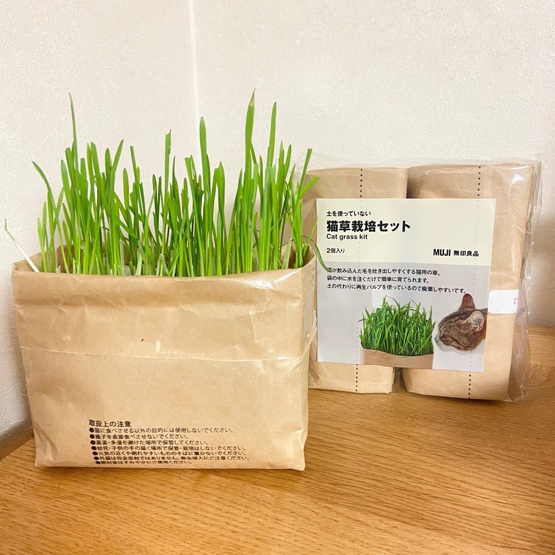 【ラブラ万代】2月22日は、猫の日