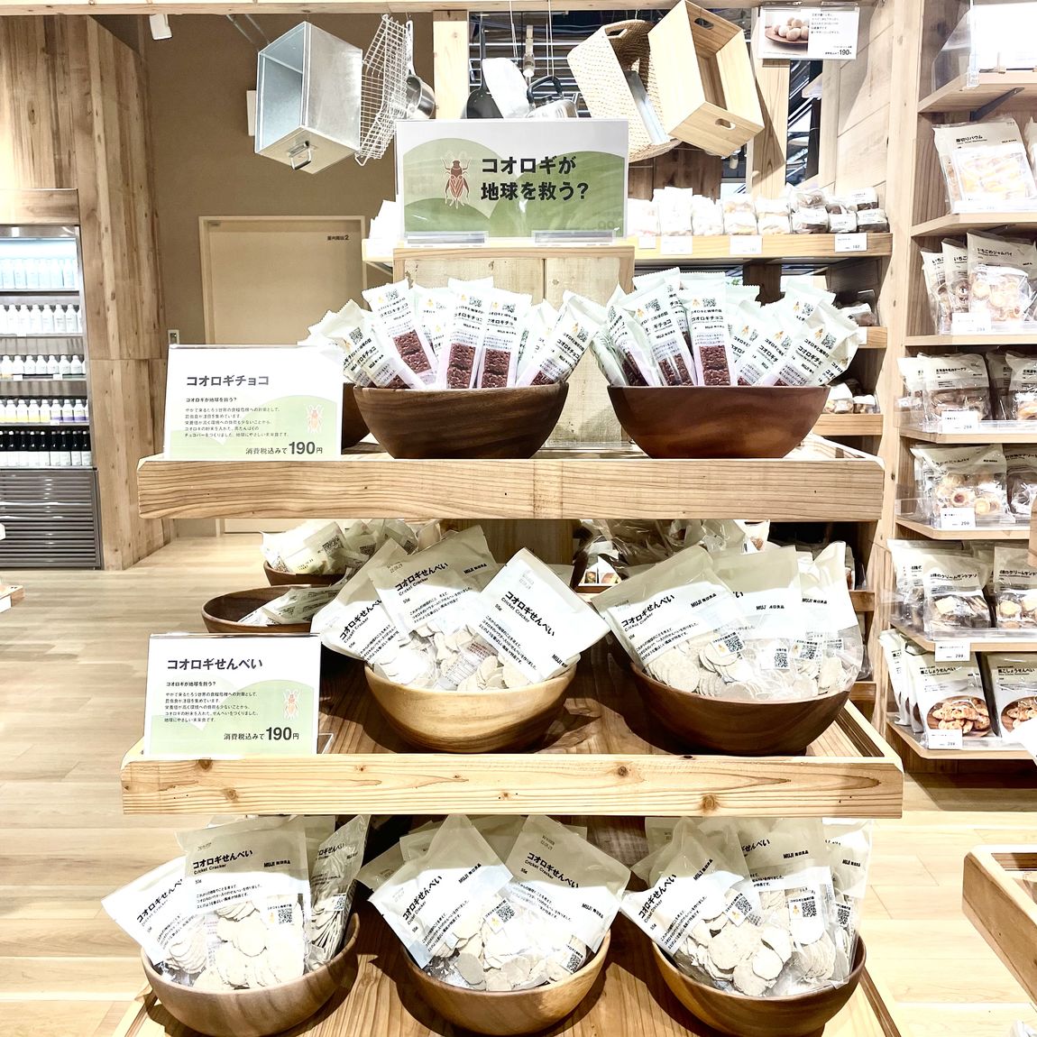 【COCOSA熊本下通】コオロギせんべい