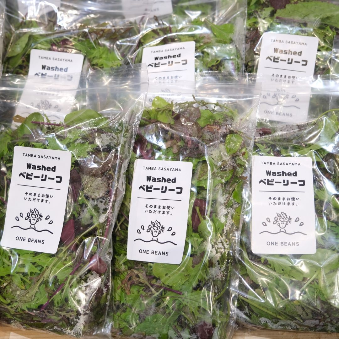 【堺北花田】ONE BEANSさんのベビーリーフが入荷しました｜青果売場から