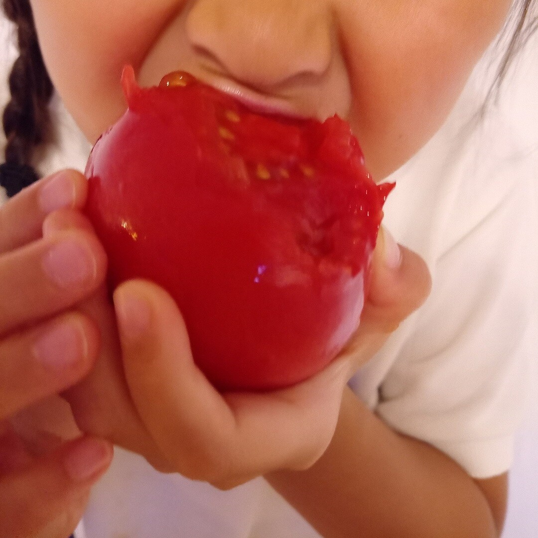 tomato