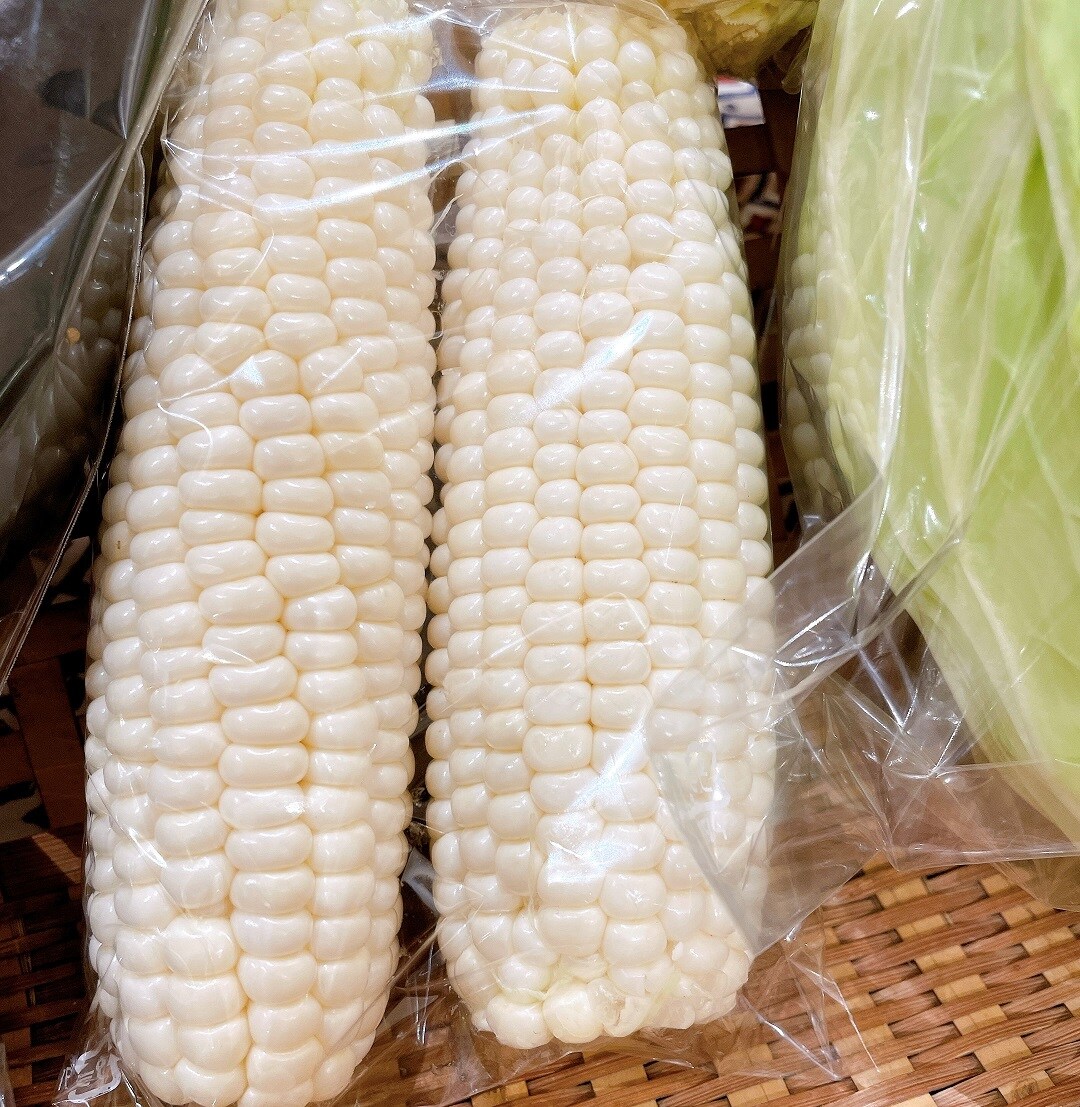 白いとうもろこし