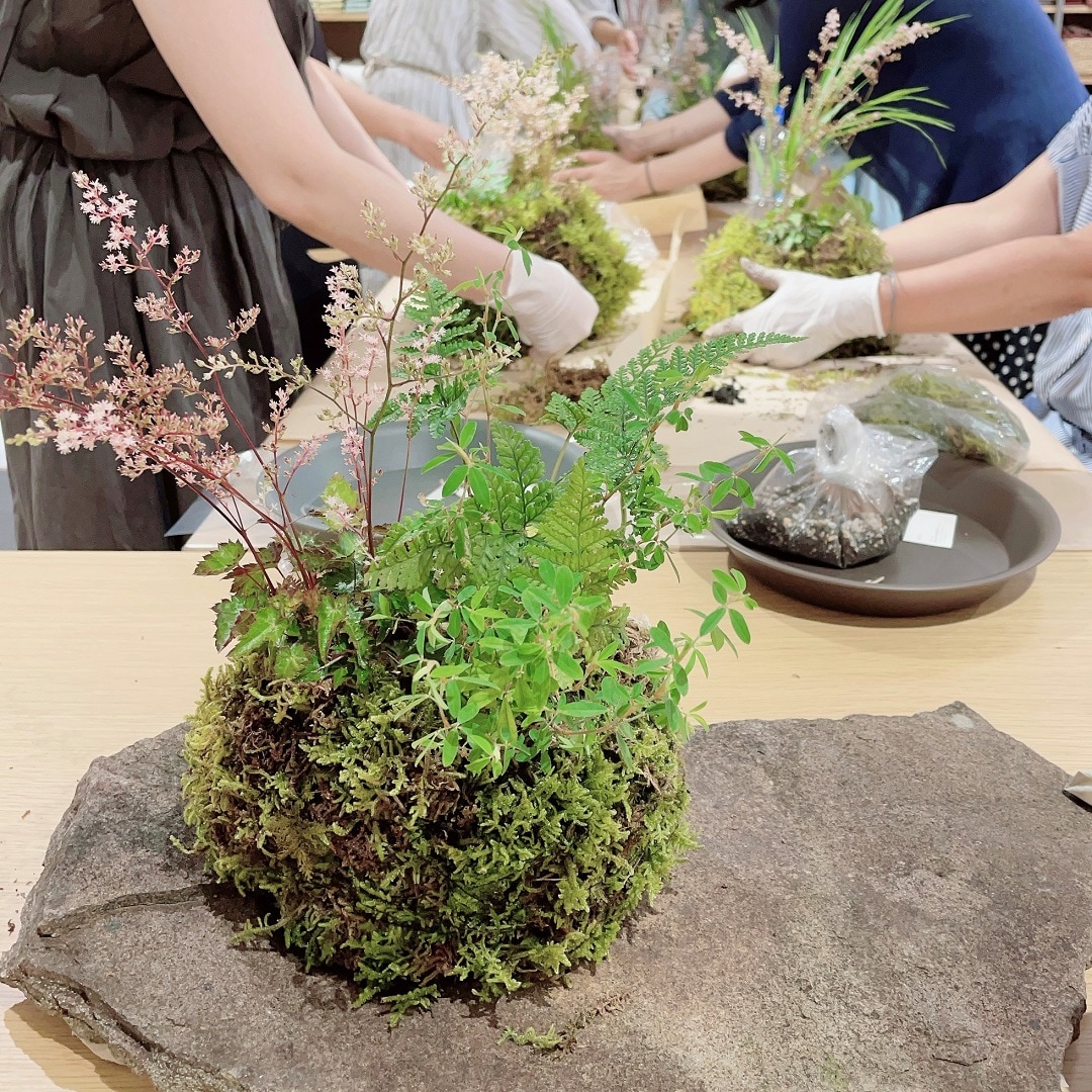 山の空気をごちそうに大きな苔玉つくり
